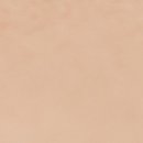 이동한의원 이미지