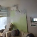 대부도 펜션월드(수까사) 이미지