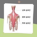 신통마취통증의학과의원 이미지