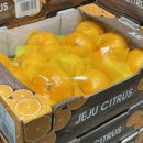 상하한아름목장 이미지