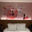 캐릭터월드크리닝 | 마티에 오시리아 스위트 오션뷰 잔망루피 가격 부대시설 부산기장호텔