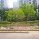 장자대로 경기북부탑뉴스