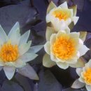 드림펜션 이미지