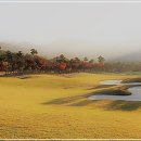 석정힐CC 이미지