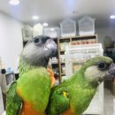 가든조류원 이미지