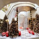 (주)디이지 이미지