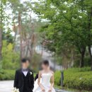 (상반기)인생의 사계절을 만나다 | 사계절 스튜디오 본식 스냅 결혼식 당일 촬영 후기