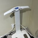 매드볼릭 휘트니스 | [배곧 여성전용 헬스장] 헬스+필라테스 가능한 '웰피트니스' 민정쌤 1:1 PT 후기