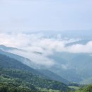 황실사우나 | [카페 후기] 넌 커피 (강원도 정선)