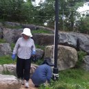 뽑기동산 이미지