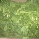 문창농장 이미지