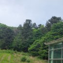 장등목장 이미지