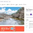 하방소 포레스트 이미지