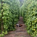 마땅농장 이미지