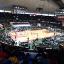 토끼사냥 이미지