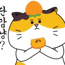 미스터씨 이미지
