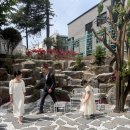 노아노아인테리어 | 대전 돌잔치 준비, 야외 정원이 있는 프라이빗 단독 홀 벨노아 돌스냅 후기