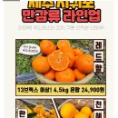 레드향 13Brix 이상 4.5kg 중/대과 혼합 24,400원 이미지