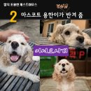 함덕조용한게스트하우스