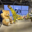 모던하우스 | 강남 인테리어 소품 샵 뉴코아 강남점 모던하우스 방문 후기