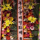 [자녀 결혼] 김경례 후원회원_(주)늘푸른디엔씨 대표 : 따님 2022년 9월 24일 결혼합니다. 이미지