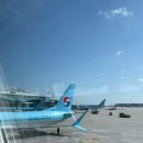 지티인터내셔널 | [칭다오] 맛도리 여행 1일차ㅣ루위LUYU 마늘농어찜ㅣ차오브율리안 에그타르트ㅣ차희CHAGEEㅣ타이동...