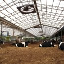 신산5리마을회관 이미지