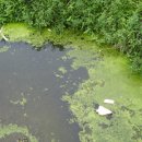 평곡3리 이미지