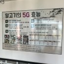 진미생고기구이 | 제주도 말고기 맛집 이영자 맛집 진미마돈가 점심특선 코스요리 & 멘치카츠