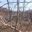 문애자농장 이미지