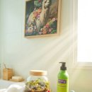 에브리데이 | 말차향 가득한 지티지코스메틱 에브리데이 폼폼 말차 바디클렌저 리얼 후기