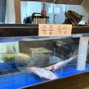 인형뽑기# | [먹짱_청주]숯불향 가득한 송절동 막창 맛집 인생막창 맛 후기