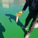 북면319 | 부산 외벽방수 업체 주택 장마철 누수 대비 우레탄 시공 완료