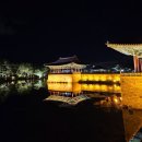 다이아풀빌라 | ｜경주 숙소｜불국사 근처 50평 풀빌라｜다이아풀빌라｜