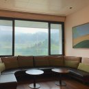 (주)유니서브 | 임신 13주~30주, 임산부 중기일상