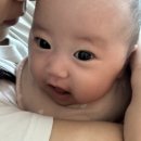 [육아용품]80일 아기 놀이템 장난감 내돈내산 찐추천