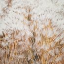 국립현대미술관(과천관) 이미지