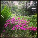 서운동산펜션 이미지