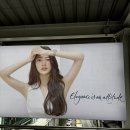 2024 태국 여행 방콕 3일차, 루이비통 전시, 레어크센 레남, 옌리유어스, 아카라 스카이 하누만 방콕 후기
