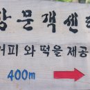 자연미