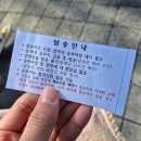 모노 | 충북 청남대 아이와 모노레일 탑승 후기 (ft. 요금 및 명당자리)