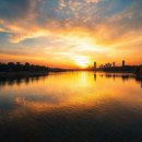 썬베네스트 이미지