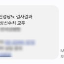 임신 중기 / 임신성당뇨, 임당검사, 태동약해짐, 배뭉침 / 24주차, 25주차, 26주차, 27주차
