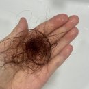 루미살롱 | 루미세라 탈모샴푸 솔직 후기 출산 후 탈모 고민