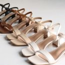 베이직코 이미지