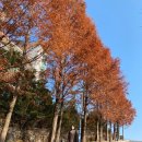 이순신공원(중간) 이미지