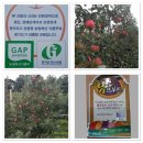 삼백농장 네이버블로그