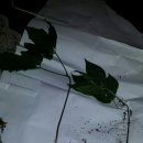 타이어프로 성서점 이미지