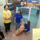 Puppy's Dream 이미지