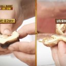 더러운 행주 얼린 고기 마른 버섯 설탕의 기적 이미지